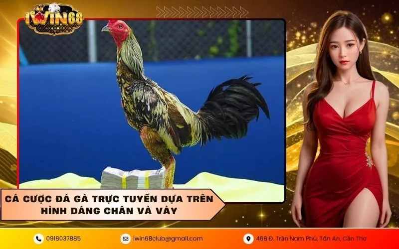 Cá cược đá gà trực tuyến dựa trên hình dáng chân và vảy