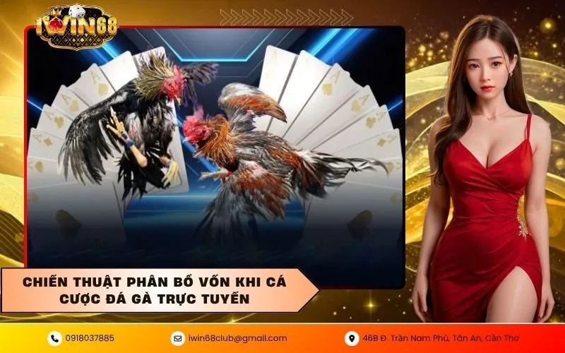 Chiến thuật phân bổ vốn khi cá cược đá gà trực tuyến