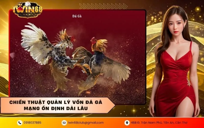 Chiến thuật quản lý vốn đá gà mạng ổn định dài lâu