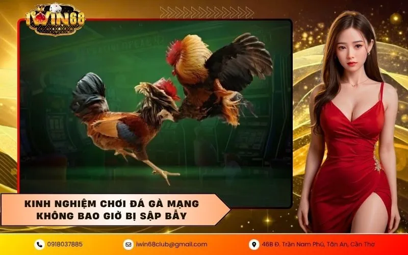 Đá gà mạng