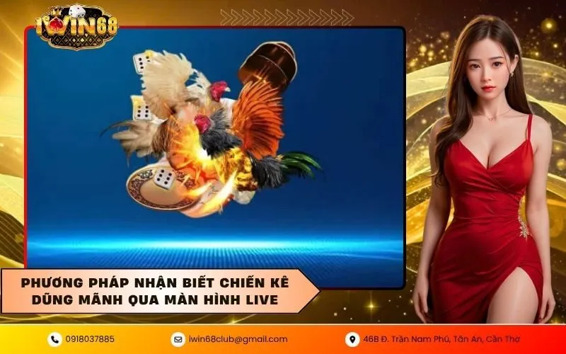 Phương pháp nhận biết chiến kê dũng mãnh qua màn hình live