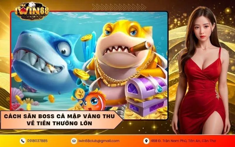 Săn boss cá mập vàng