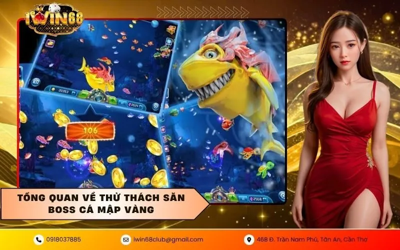Tổng quan về thử thách săn boss cá mập vàng