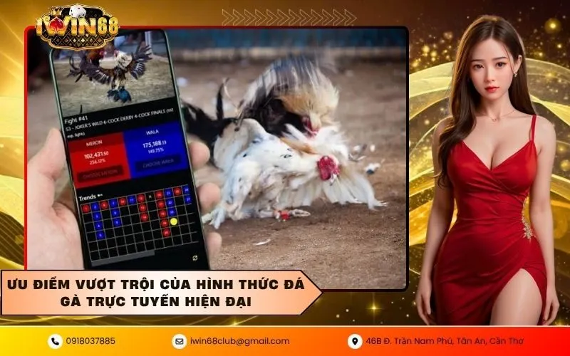 Ưu điểm vượt trội của hình thức đá gà trực tuyến hiện đại