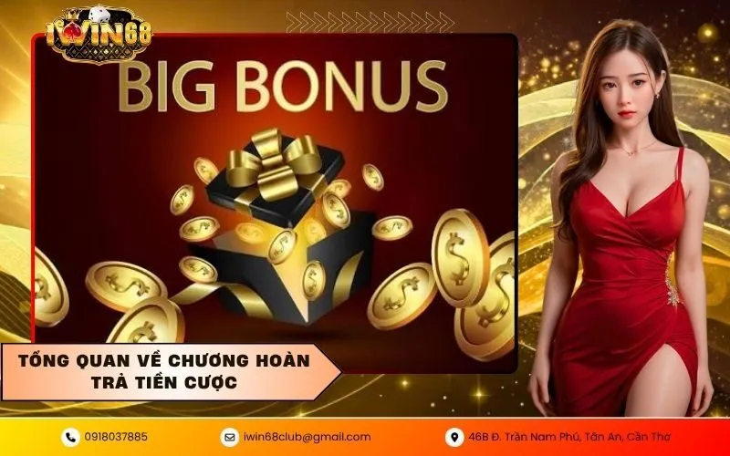 Tổng Quan Về Chương Hoàn Trả Tiền Cược